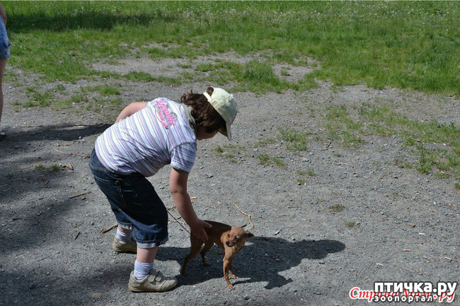 ���� 8: � �����, ����� � �������.. (������ ������ �������)