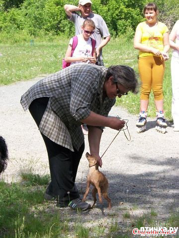 ���� 7: � �����, ����� � �������.. (������ ������ �������)