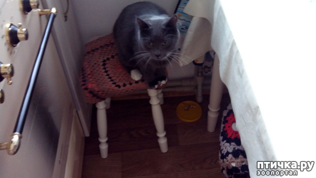 ���� 5: ��� �� � �������� ���� ������