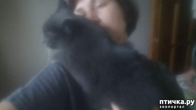 ���� 6: ��� �� � �������� ���� ������