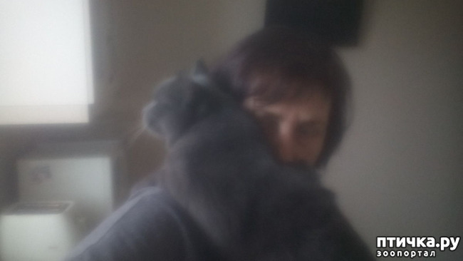 ���� 7: ��� �� � �������� ���� ������