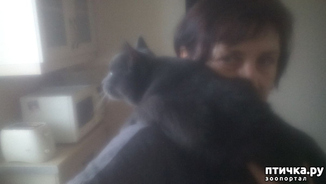 ���� 8: ��� �� � �������� ���� ������