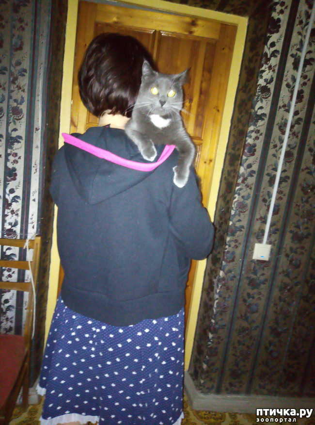 ���� 9: ��� �� � �������� ���� ������