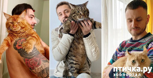 ����: ����� ������ � ���������� ������� ������������ ������� - ��� ��� ���