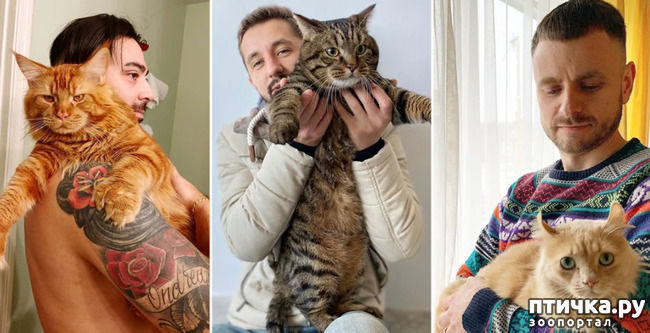 ���� 1: ����� ������ � ���������� ������� ������������ ������� - ��� ��� ���