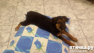 ����: ����� � ������.