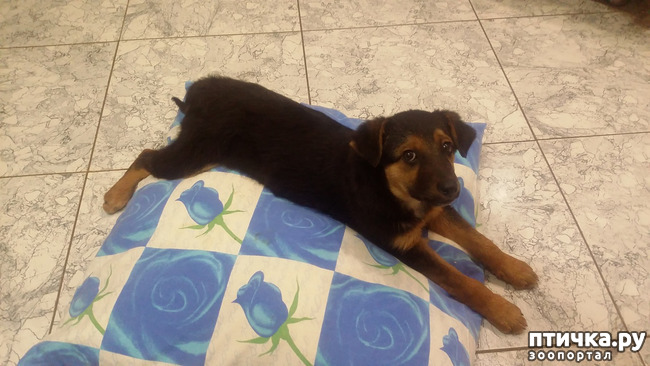 ���� 1: ����� � ������.