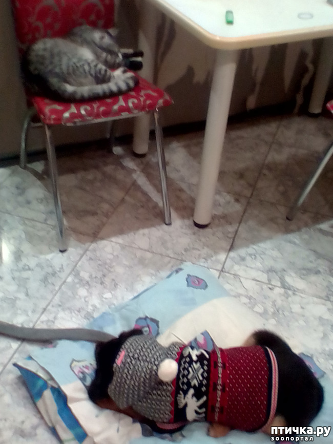 ���� 2: ����� � ������.