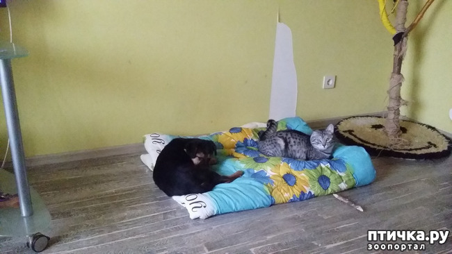 ���� 3: ����� � ������.