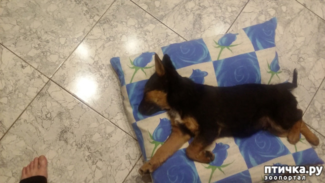 ���� 4: ����� � ������.