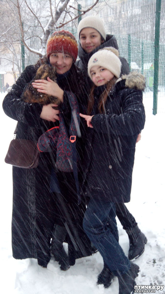 ���� 3: ����������� ������ �� ���������