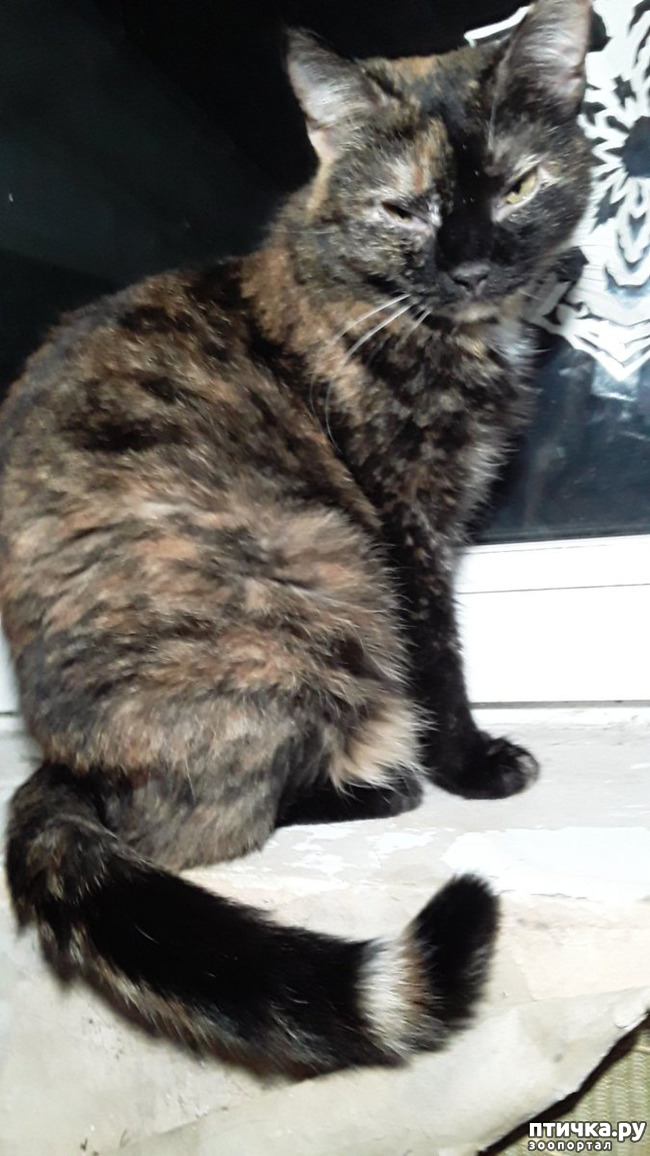 ���� 6: ����������� ������ �� ���������