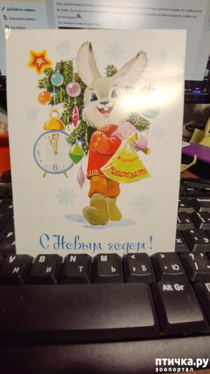 ����: ������������