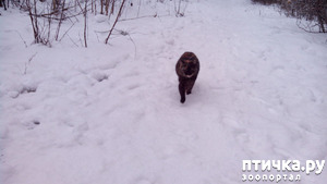 ����: ����������� ������ �� ���������