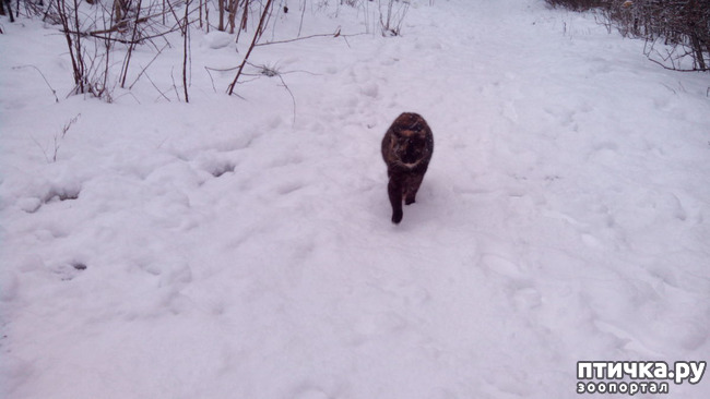 ���� 1: ����������� ������ �� ���������