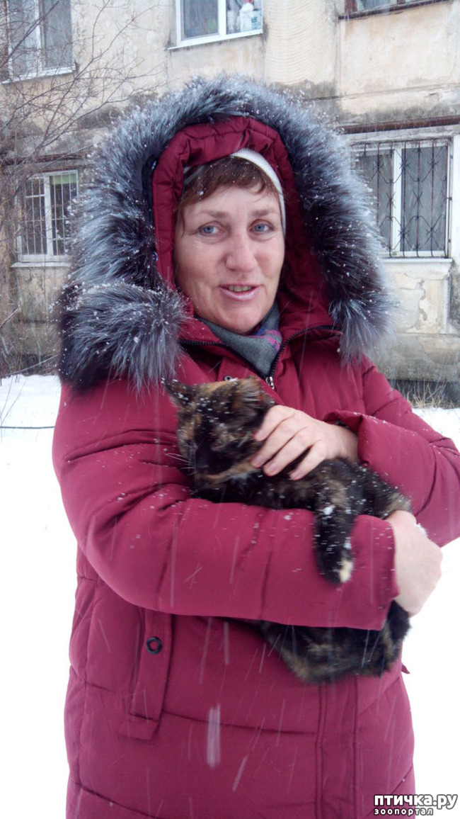 ���� 2: ����������� ������ �� ���������