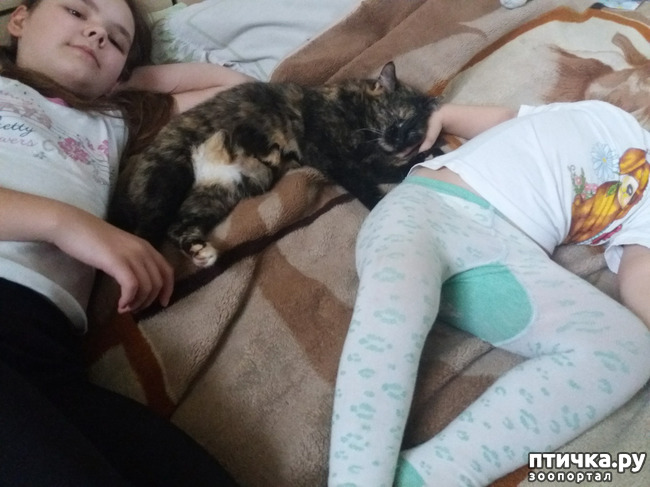 ���� 4: ����������� ������ �� ���������