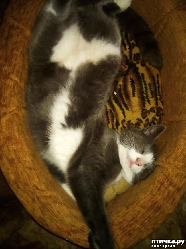 ���� 11: ������ ��� ������!