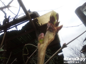 ����: ������ ��� ������!