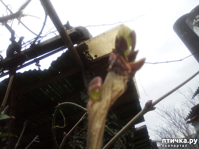 ���� 1: ������ ��� ������!