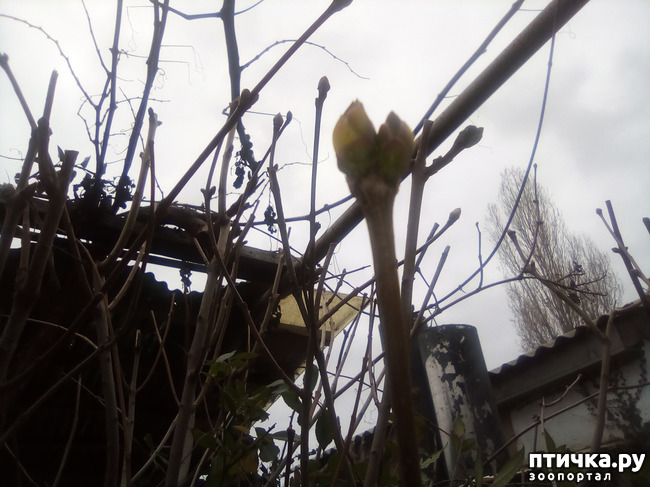 ���� 2: ������ ��� ������!