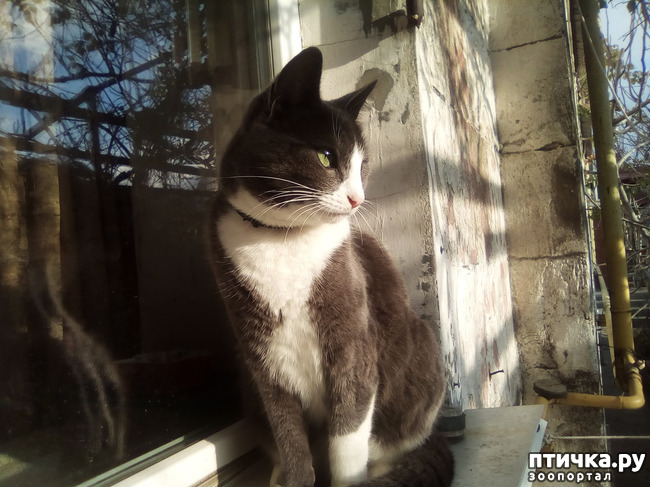 ���� 4: ������ ��� ������!