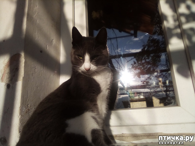 ���� 5: ������ ��� ������!