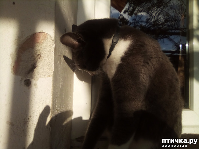 ���� 6: ������ ��� ������!