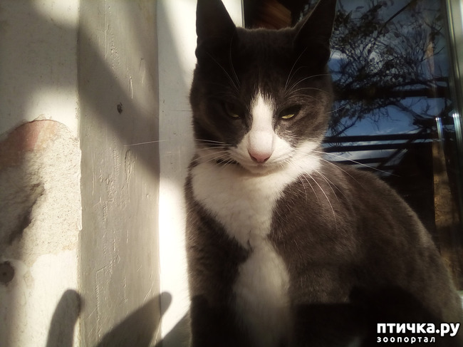 ���� 7: ������ ��� ������!