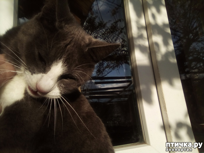 ���� 8: ������ ��� ������!