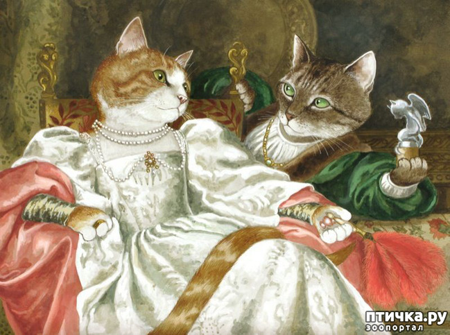 ���� 6: ������� ������� (��������� �������� ������)