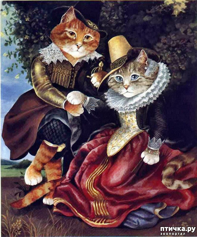 ���� 8: ������� ������� (��������� �������� ������)