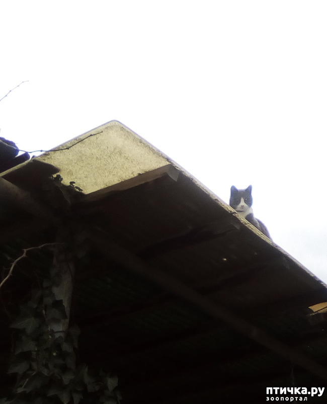 ���� 9: ������ ��� ������!