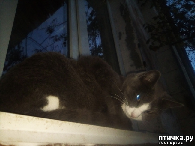 ���� 10: ������ ��� ������!