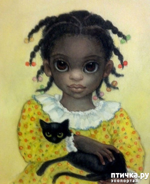 ����: ����������� �������� ������ ��� �����