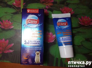 ����: ����� ��� ������ ������