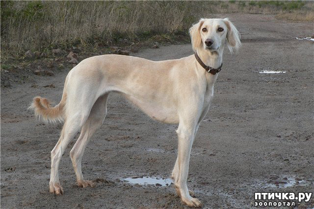 ���� 1: ������ ������ ����