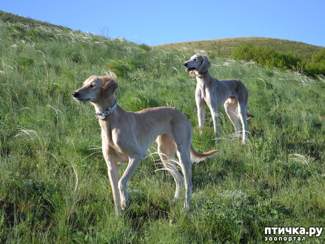 ���� 4: ������ ������ ����