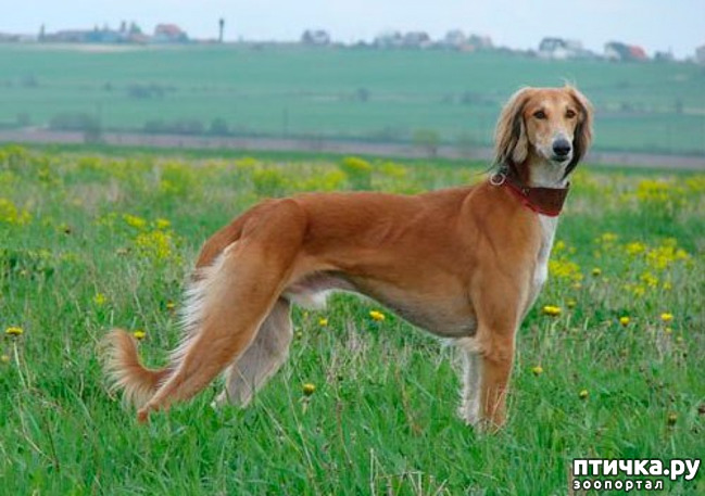 ���� 5: ������ ������ ����