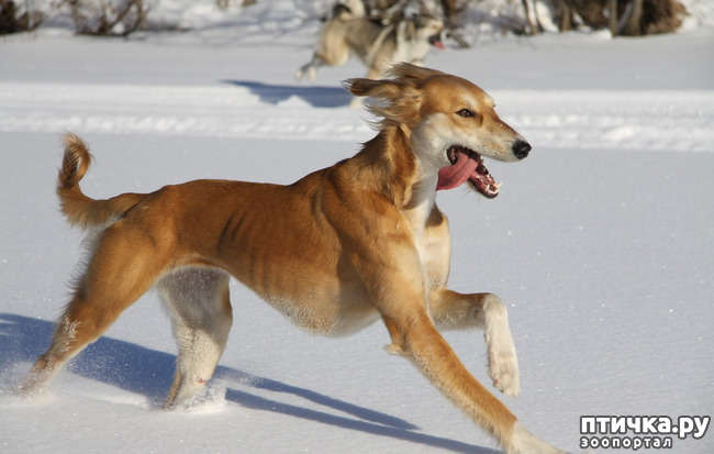 ���� 7: ������ ������ ����