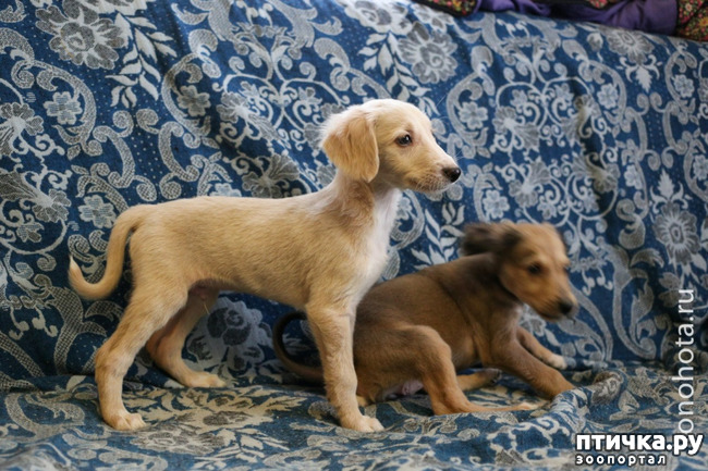 ���� 9: ������ ������ ����