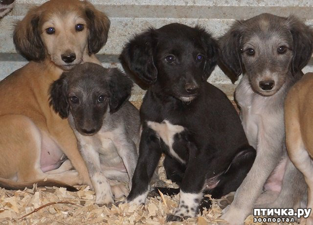 ���� 10: ������ ������ ����