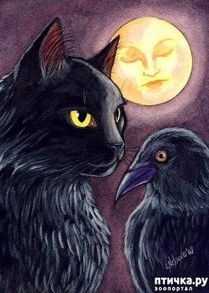 ����: ������ ��� ������� ������