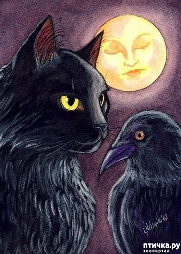 ���� 1: ������ ��� ������� ������