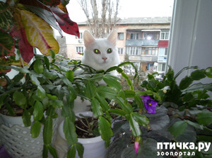 ����: ��� � ������ ������