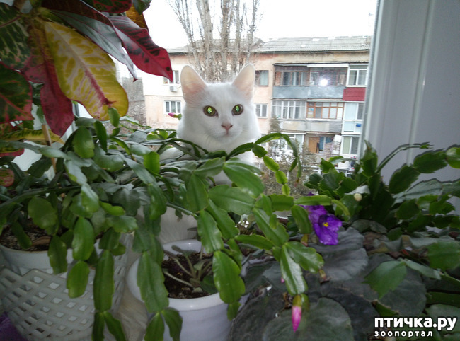 ���� 1: ��� � ������ ������