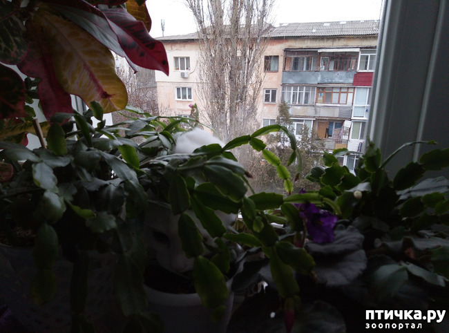 ���� 2: ��� � ������ ������