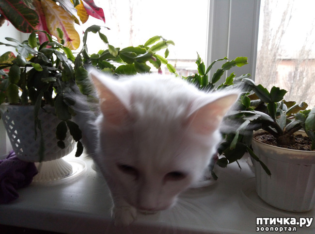 ���� 3: ��� � ������ ������