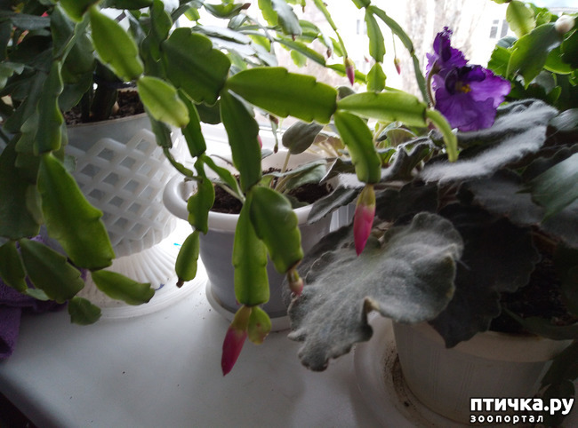 ���� 4: ��� � ������ ������