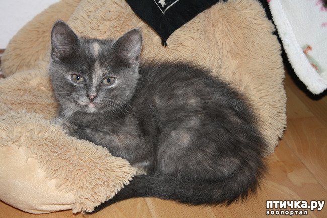 ���� 1: ������ � �������, ������� ����� � ����� ������� �����